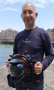 ciro dell'anno